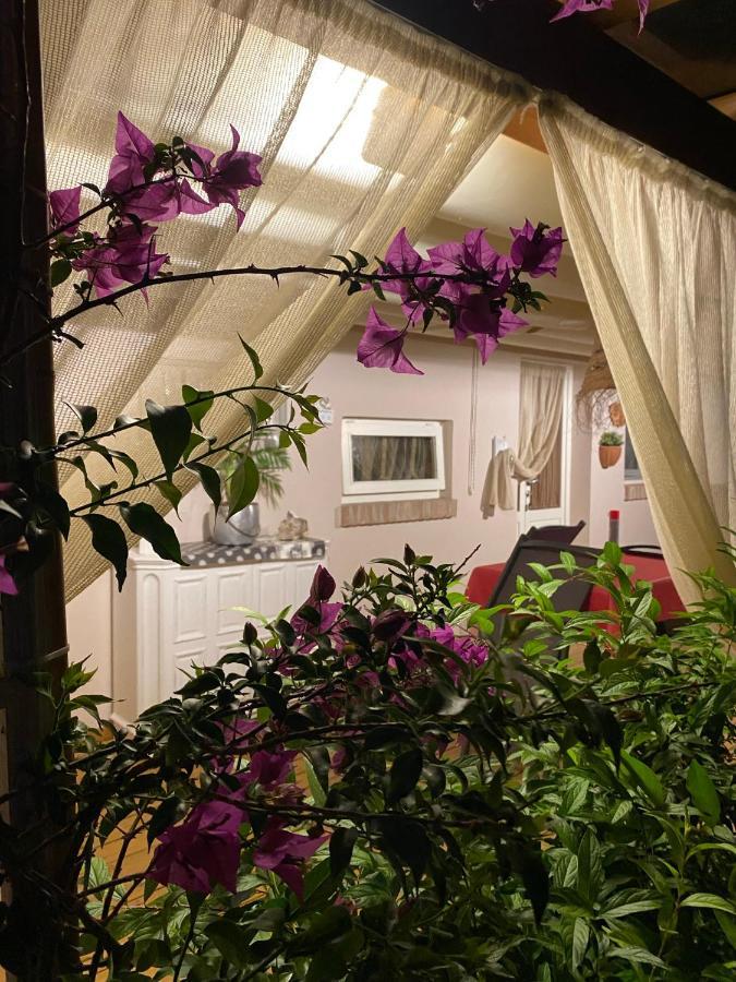 Ancora Bilocale Villa Marina di Massa Ngoại thất bức ảnh