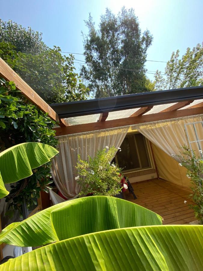 Ancora Bilocale Villa Marina di Massa Ngoại thất bức ảnh