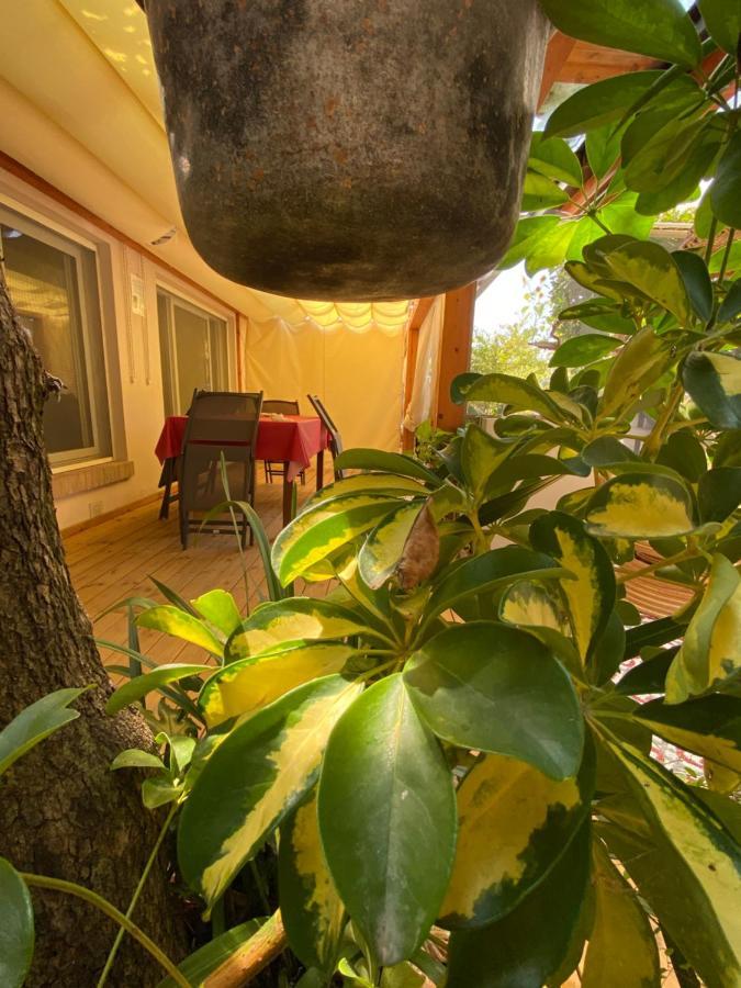 Ancora Bilocale Villa Marina di Massa Ngoại thất bức ảnh